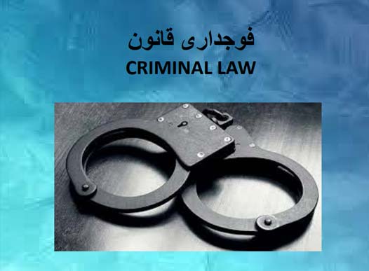 Criminal Lesson 4